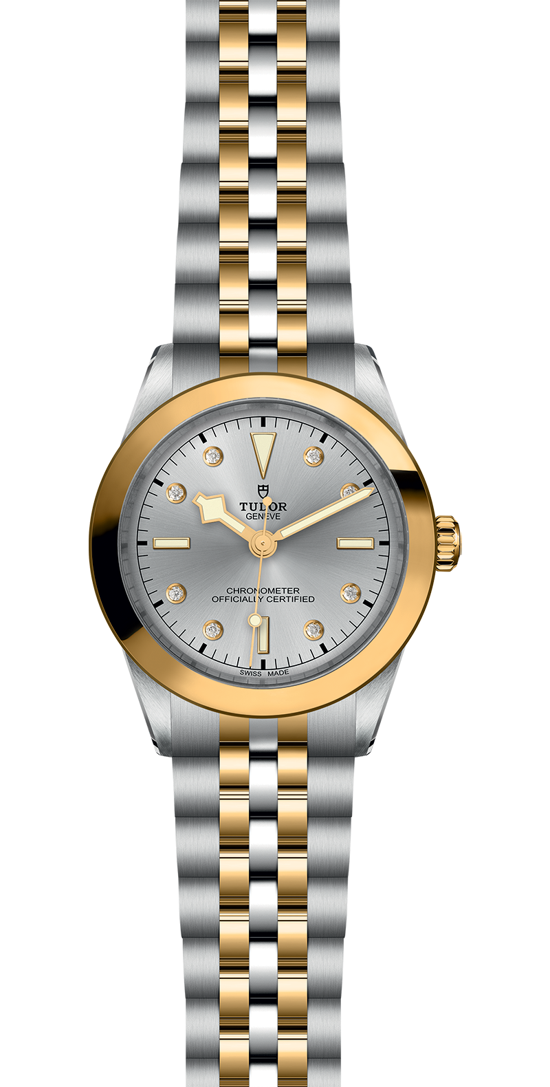 Black Bay 31/36/39/41 | 79663 | Steel and Gold | M79663-0007 | Tudor Official Retailer - Srichai Watch