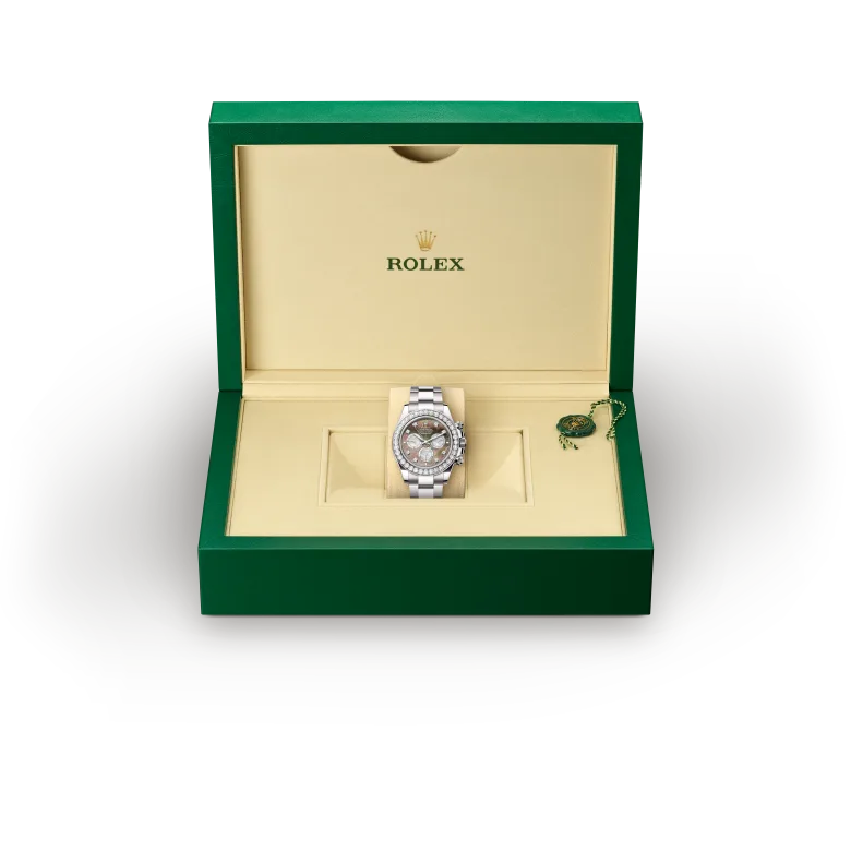 Rolex Cosmograph Daytona in 18 ct white gold, M126579RBR-0001 - Srichai Watch