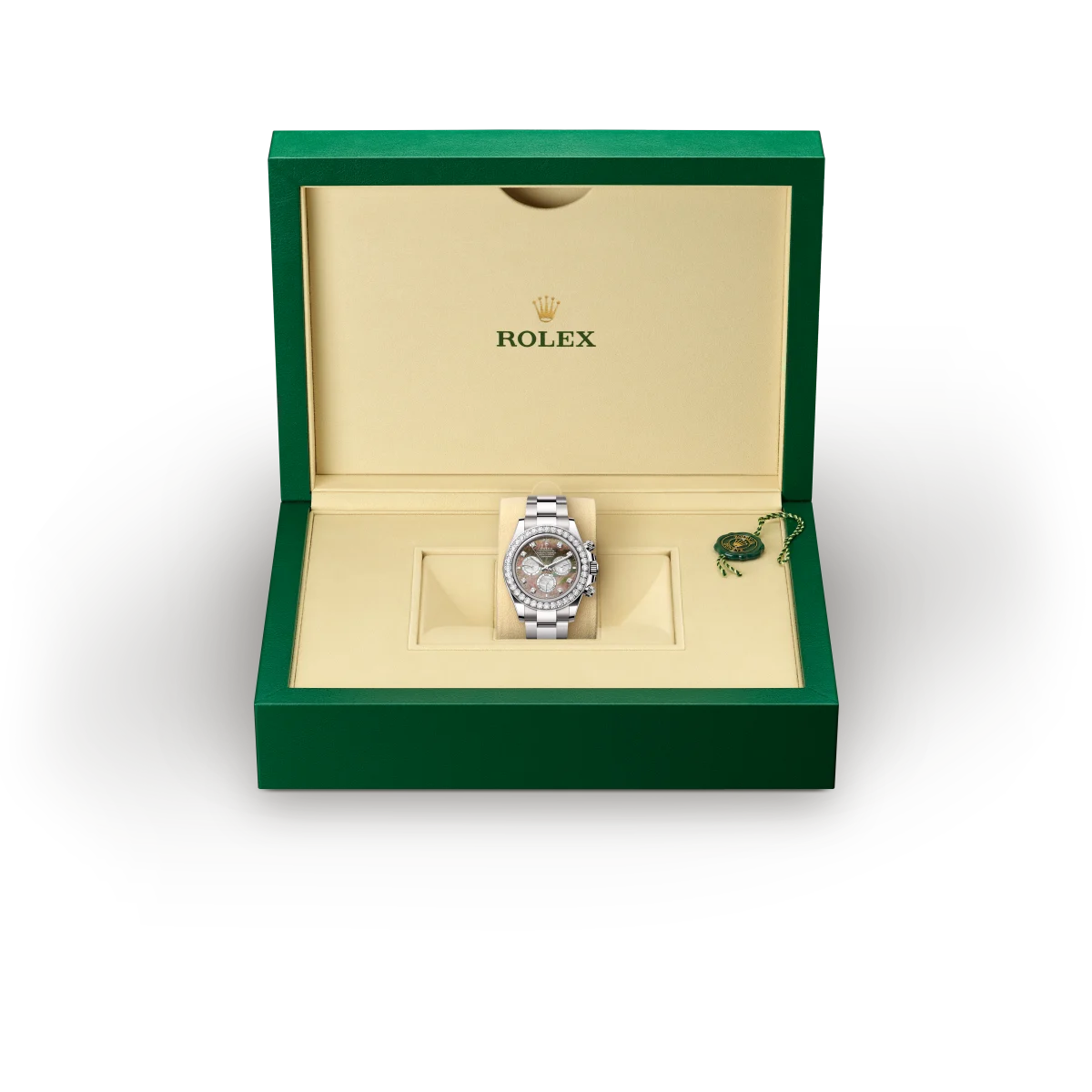 Rolex Cosmograph Daytona in 18 ct white gold, M126579RBR-0001 - Srichai Watch